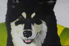 Akryl - Privatejet - Billedstørrelse 60*20  // Lapphund 2015