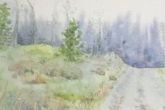 Akvarel - Privateget  - Billedstørrelse 13*18  Rammestørrelse 18*24 /// Tranum Klitplantage 2021