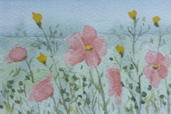 Akvarel - Privateget  - Billedstørrelse 11*15  Rammestørrelse 15*20 // Blomster på eng 2020