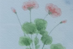 Akvarel - Privateget  - Billedstørrelse 11*15  Rammestørrelse 15*20 // Pelargonie 2020